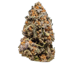 north-coast-cultivators-fruit