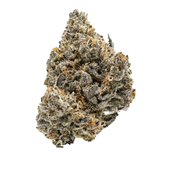 north-coast-cultivators-runtz-slider